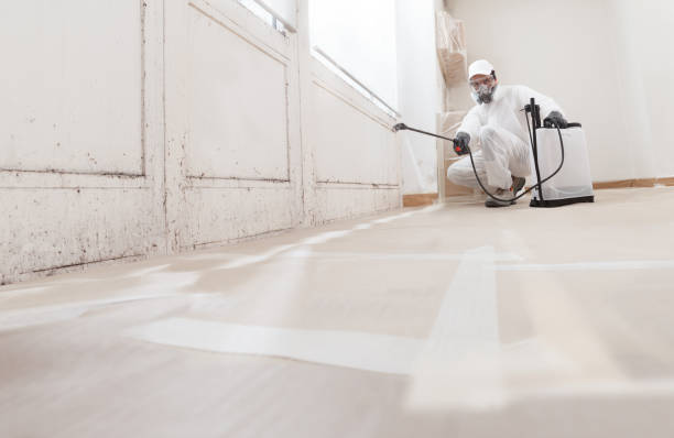 24/7 Emergency Attic Mold Remediation experts in Boykins, VA